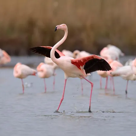 Le Cormoran-2 By Interhome Apartmán *